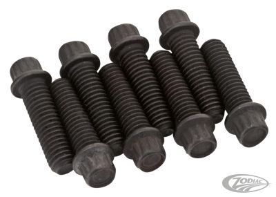 231609 - COLONY Black 12-Pnt screws 1/4-24 set/8