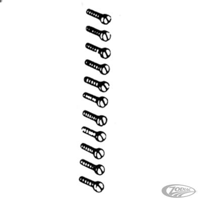 235246 - COLONY Transmission cover screw kit 45CI chrome