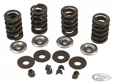 239737 - HASTINGS V-Thunder Spring kit BT84-03 chrmoly