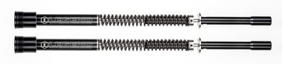 739930 - Legend AXEO fork Cartridge FLH/T17-UP Lw