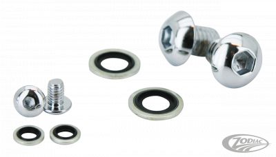 742464 - JAMES 39/41mm Fork Drain Screw kit