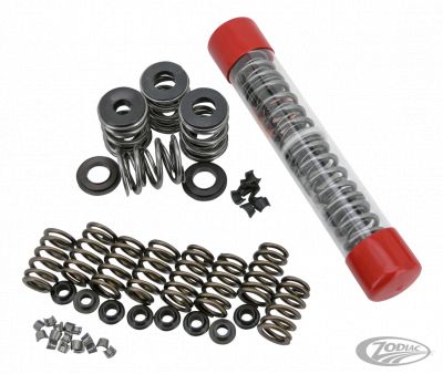 749060 - AV&V Valve Spring Kit TC/EVO/XL 1.2