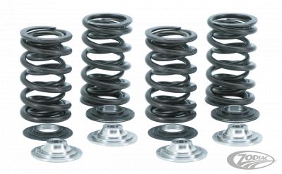 750405 - KIBBLEWHITE Valve Spring kit w/titan TC05-up XL04-up