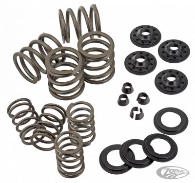 756069 - KIBBLEWHITE Complete Valve spring kit OHVBT36-47