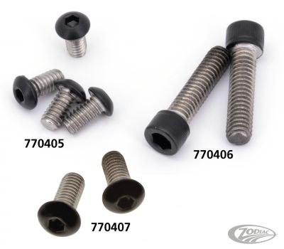 770405 - screws4bikes Nacelle Bolts Matt Blk FLFB18-Up