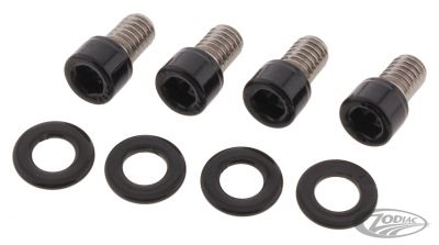 770414 - screws4bikes FR Fender Bolts Matt Blk FXBRS18-Up