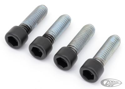 770426 - screws4bikes Foot Pegs DR Bolts Matt Blk XL04-22