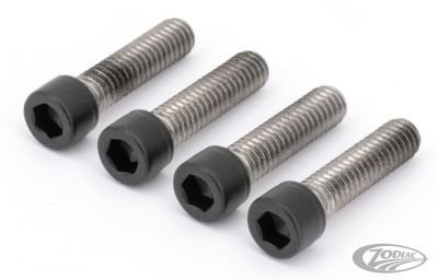 770432 - screws4bikes FR Fender SHCS screws Matt Blk XL04