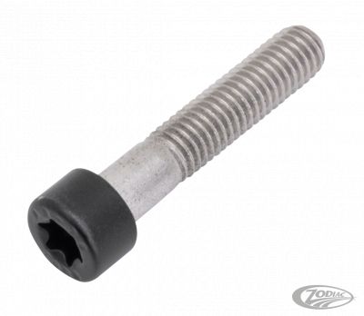 770436 - screws4bikes Axle Clamp Screw Matt Blk RA21-Up RH21-u