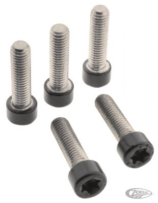 770438 - screws4bikes Triple Tree Screws Matt Blk RH21-Up