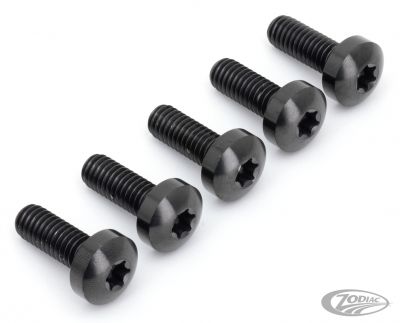 770460 - screws4bikes Brake Rotor FR Bolts Titanium Black