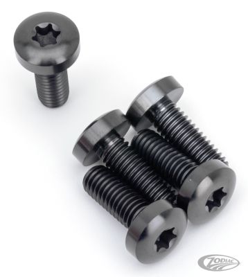 770461 - screws4bikes Brake Rotor RR Bolts Titanium Black