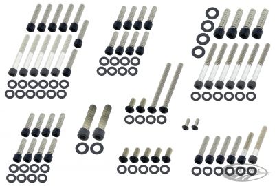 770492 - screws4bikes Eng. Bolt Kit Matt Blk BT99