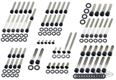 770493 - screws4bikes Eng. Bolt Kit Matt Blk ST00-06 FXD99-05