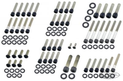 770498 - screws4bikes Eng. Bolt Kit Matt Blk FLH/T87-98