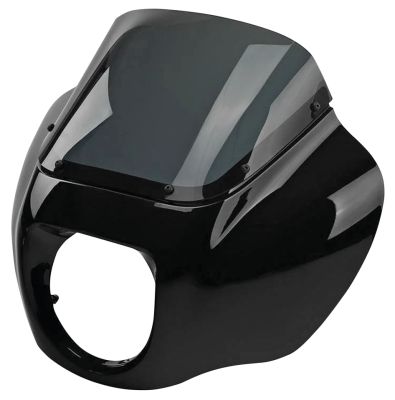 775378 - GZP Quarter Fairing Repl. Screens Clear