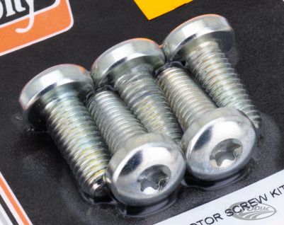 780169 - COLONY Disc screw kit RR All97-up Spk Zinc