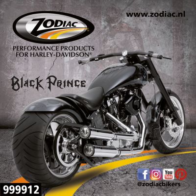 999912 - GZP 10Pck Zodiac Black Prince sticker