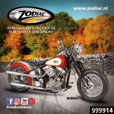 999914 - GZP 10Pck Zodiac Bobber sticker