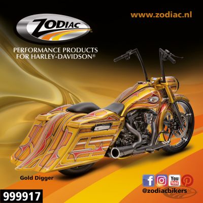 999917 - GZP 10Pck Zodiac Gold Digger sticker