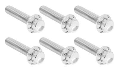 A300700 - ARLEN NESS 12PT Tranny Cover Bolts Pol. ME24-Up