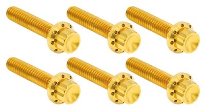 A300702 - ARLEN NESS 12PT Tranny Cover Bolts Gold ME24-Up