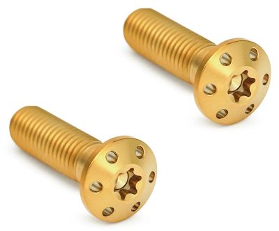 A300919 - ARLEN NESS Holeshot Brake Caliper Bolts Gold HD08-U