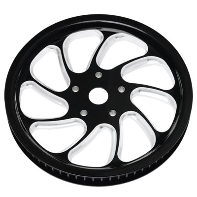 PP546622 - PM Pulley 66Tx1