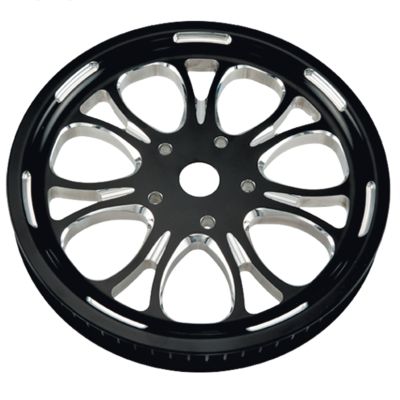 PP626620 - PM Pulley 66Tx1