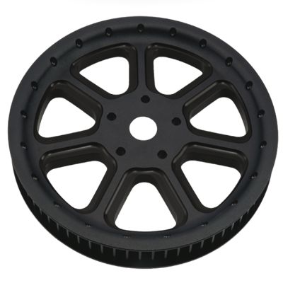 PP766609 - PM Pulley 66Tx1