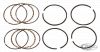 048379 - Pistonrings 2Cyl EVO 4.0"+.030" Hastings