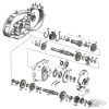 237175 - Andrews clutch gear XL79-m84