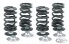 730009 - KIBBLEWHITE Valve springs TC99-04 Chrome silicon set