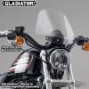 731133 - National Cycle Gladiator Single Gaugemount chr Light Tn