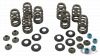 756042 - KIBBLEWHITE KPMI steel Retainers for zpn 756040
